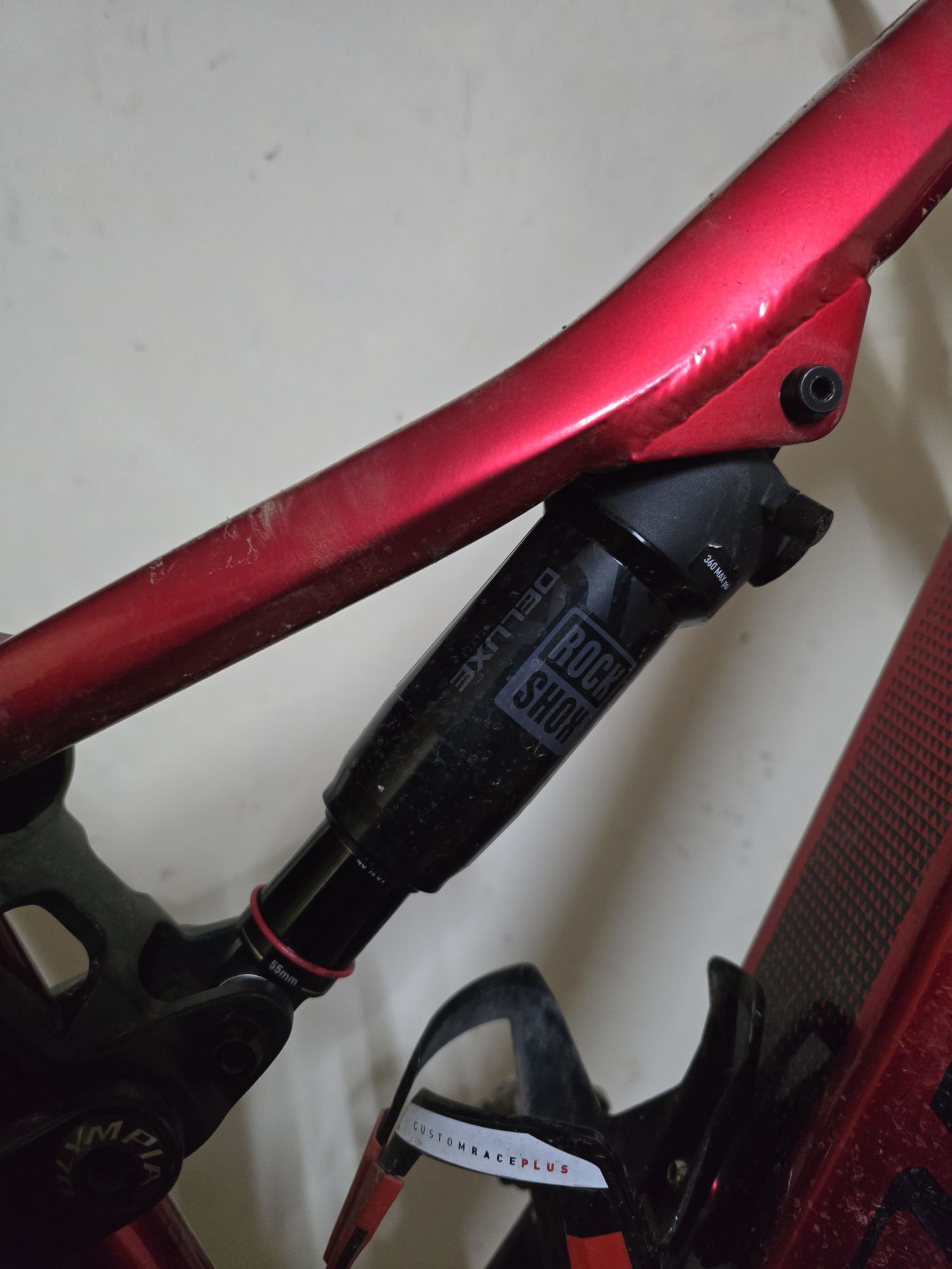 E-Bike Olympia EX900