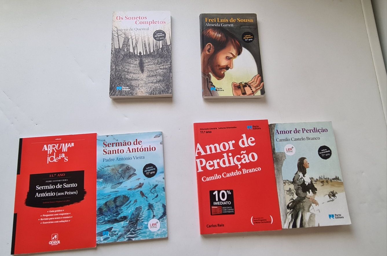 Lote de vários livros e cadernos de apoio ao estudo 11 ano