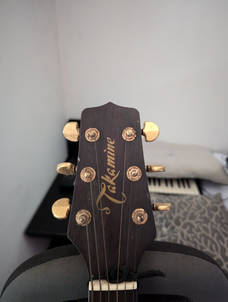 Takamine G E10C + Capo