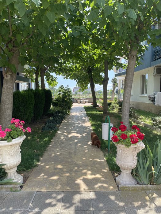 Аренда / Отдых в Болгарии/Відпочинок у Болгарії