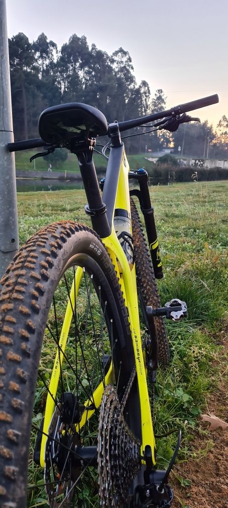Scott scale 930 carbono