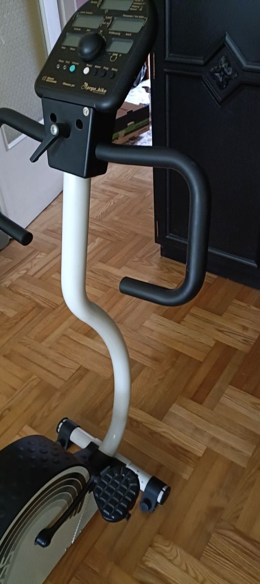 Rower Stacjonarny Daum Electronic Ergo-Bike - Wysokiej Jakości Sprzęt