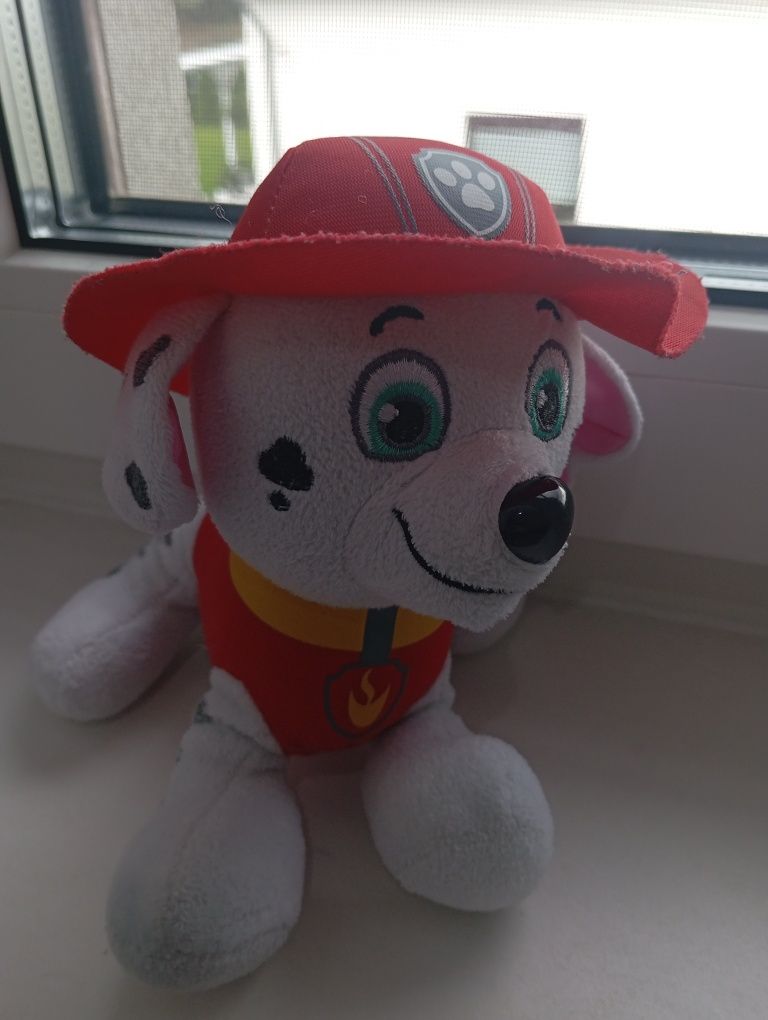 Psi patrol plecaki i czapeczka