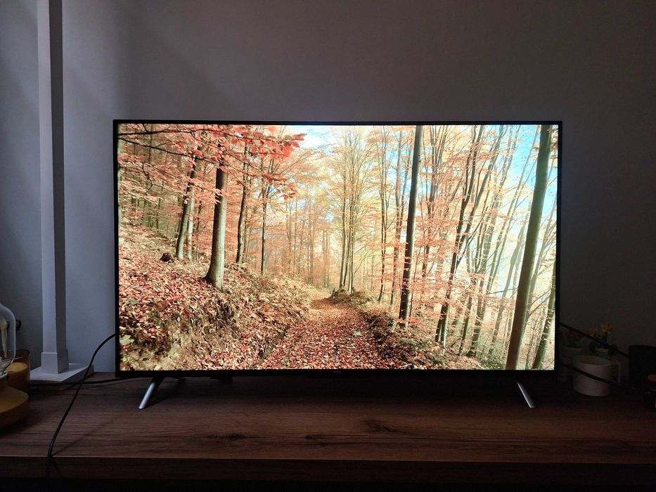 Telewizor TCL 43P638 4K Google TV