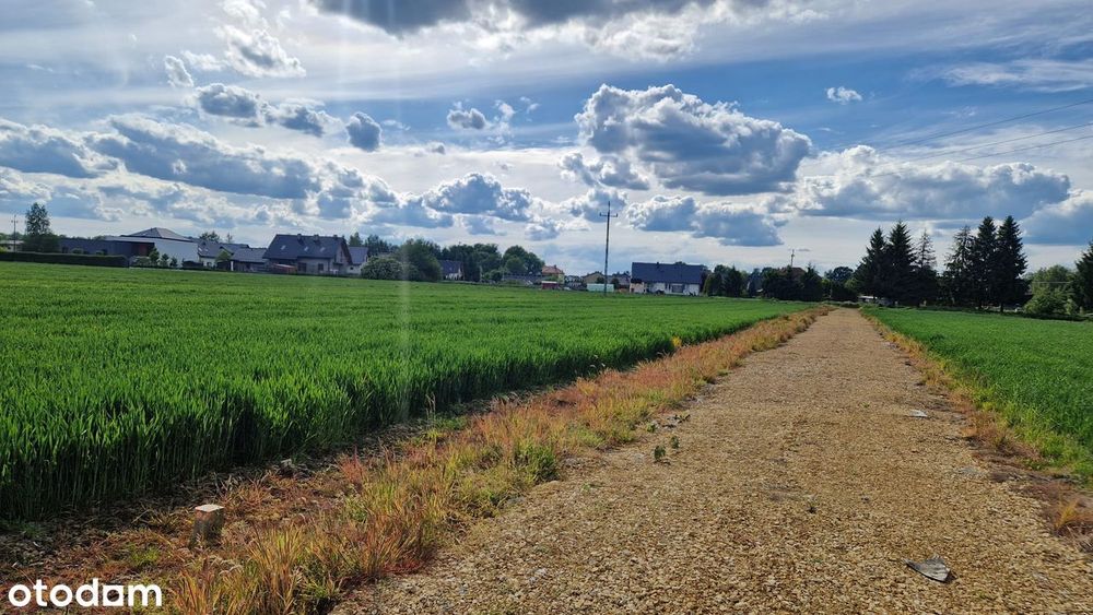 Działki z Warunkami Zabudowy Poręba Wielka / 1200m² /