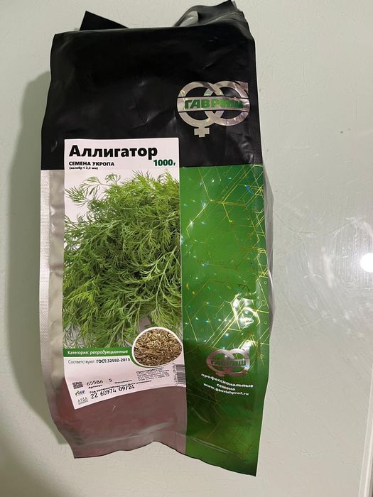 Koper włoski nasiona 1 kg rosyjskiej firmy  Gawrisz