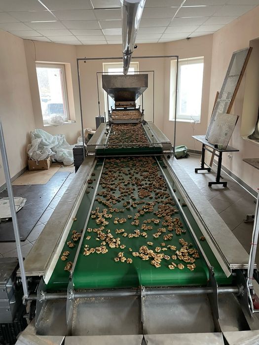 Грецький горіх очищений