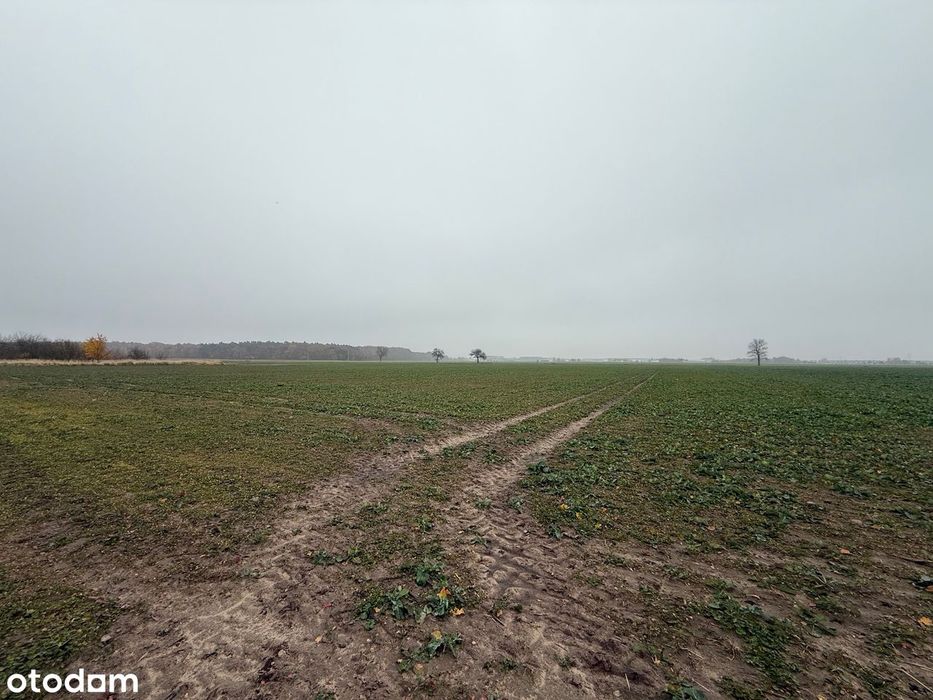 Grunt inwestycyjny, turystyka, sport i rekreacja, Batorowo