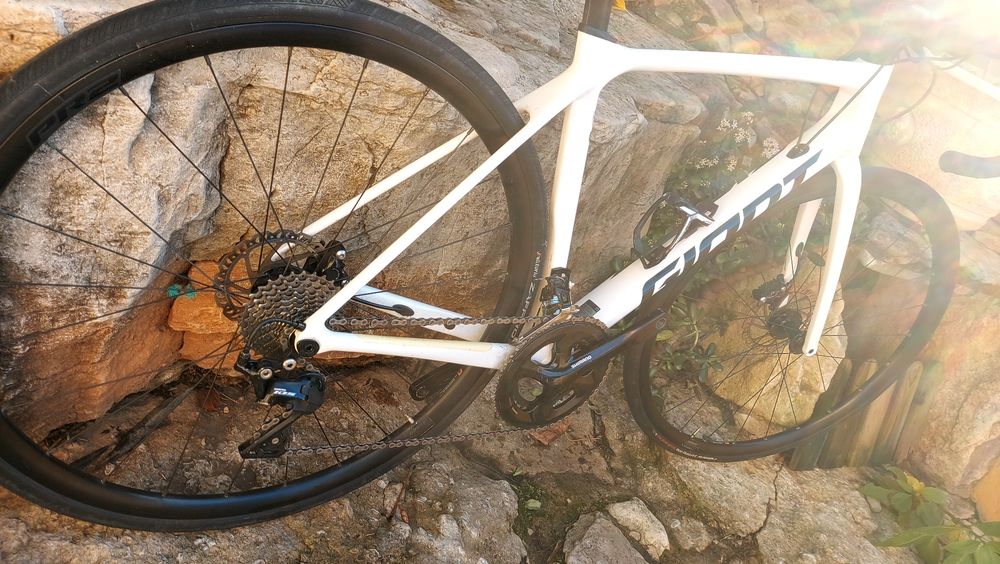 Giant Tcr Disco oportunidade t54