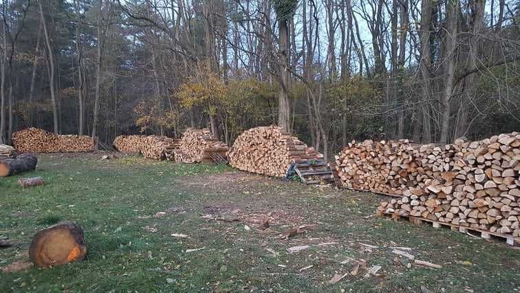 Drewno kominkowe: brzoza, olcha