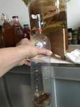 Kombucha artesanal