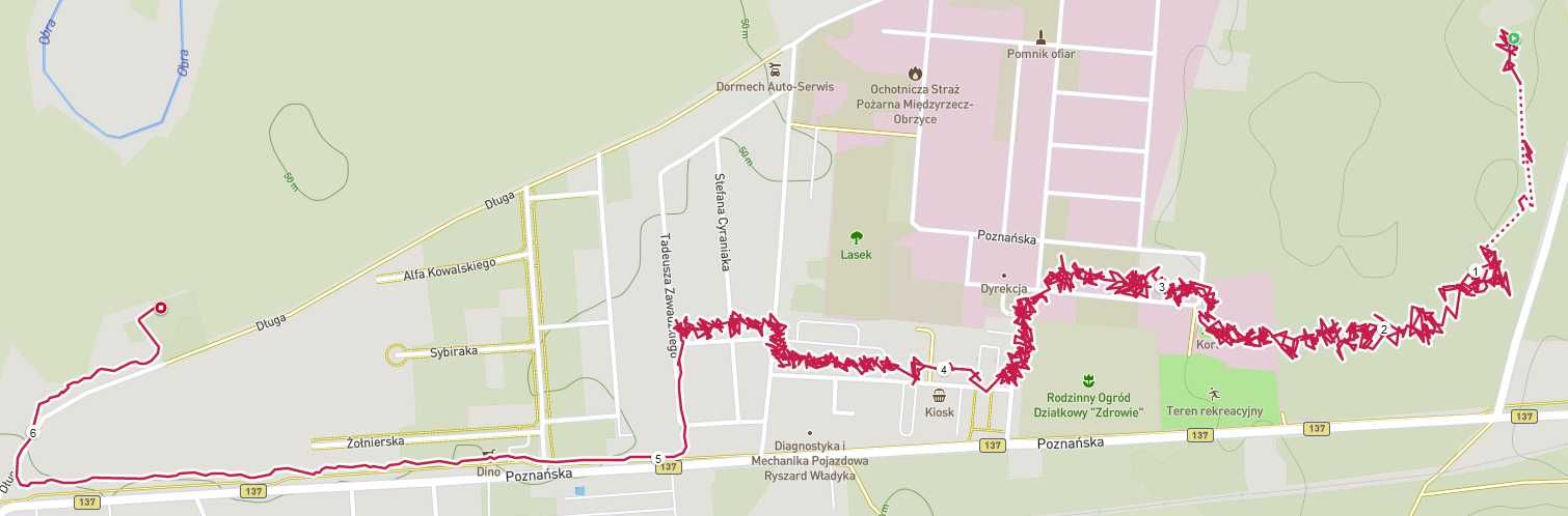 Zegarek sportowy POLAR m200 (nieprawidłowo działający moduł GPS)