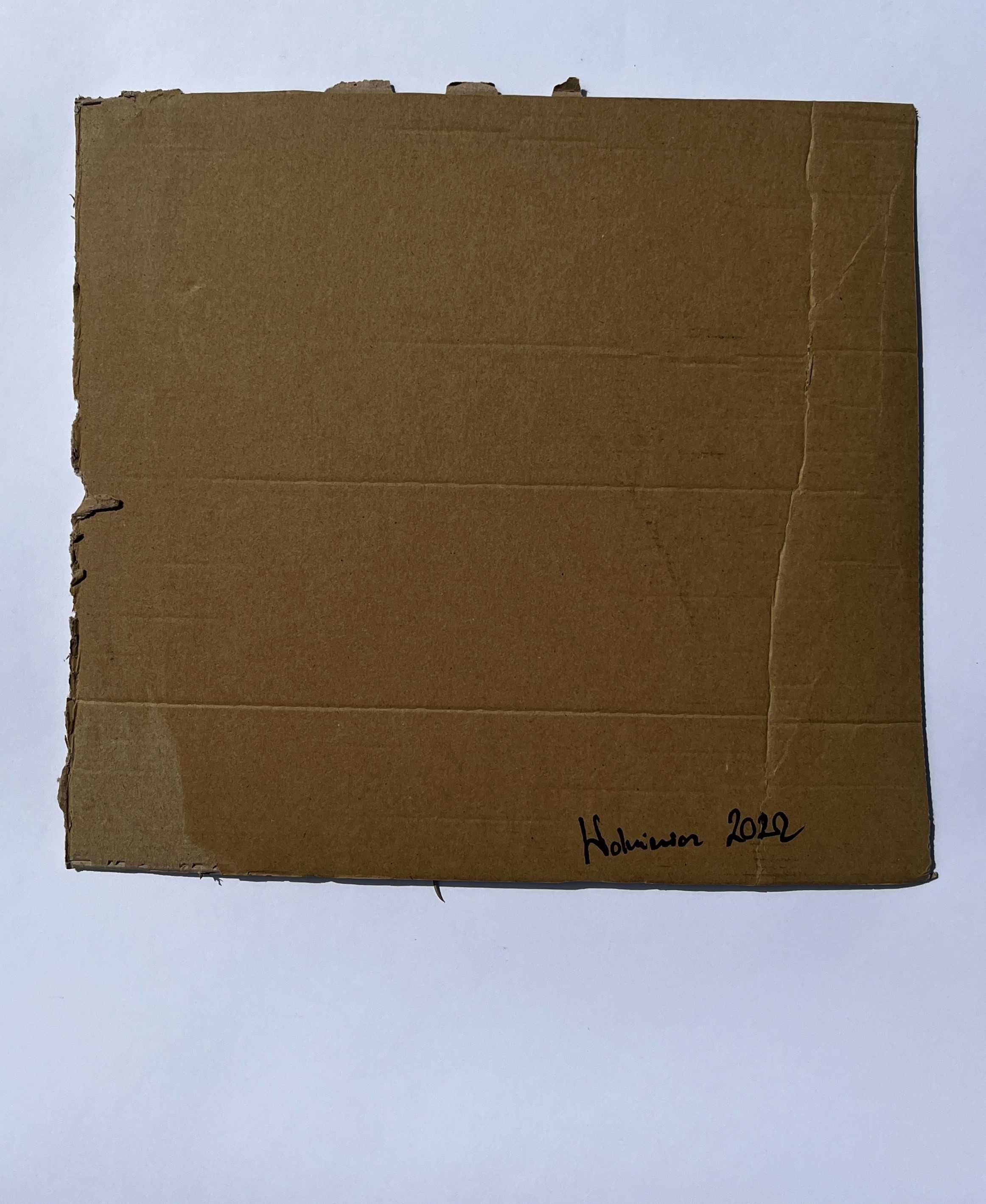 Kura Rysunek 37 x 40 cm
