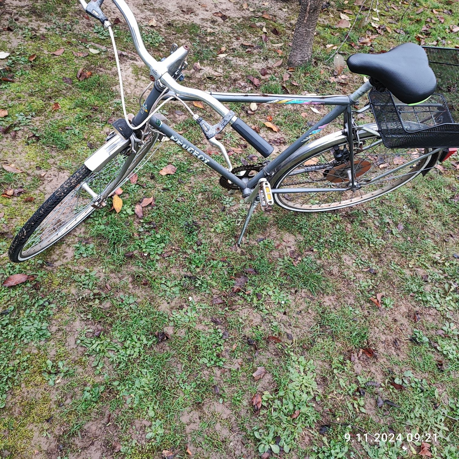 Rower damka i męski