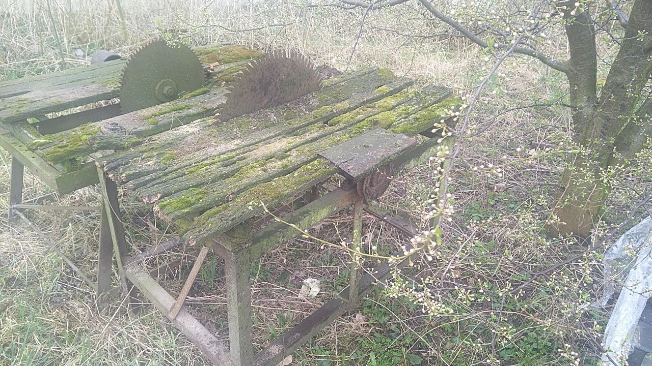 Krejzaga, piła stołowa