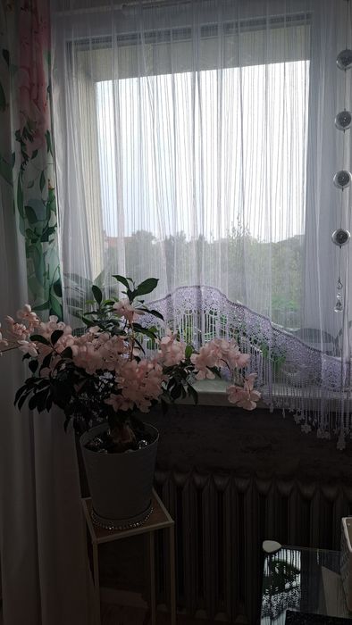 Firanka z markizety hit mega promocja