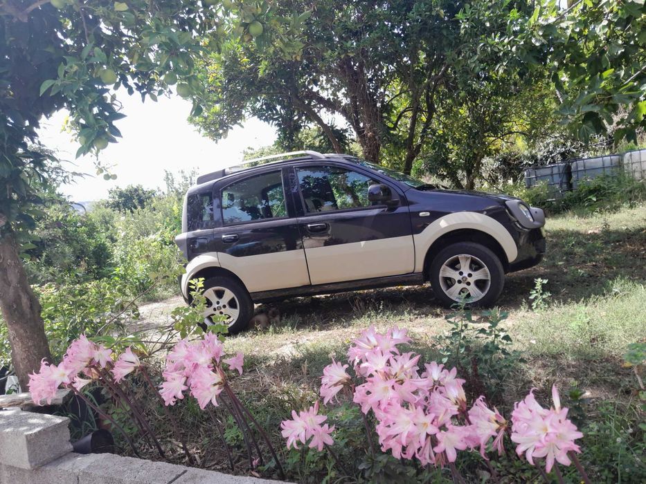 Fiat Panda 4x4 1.3 multijet, de 2011  a gasóleo