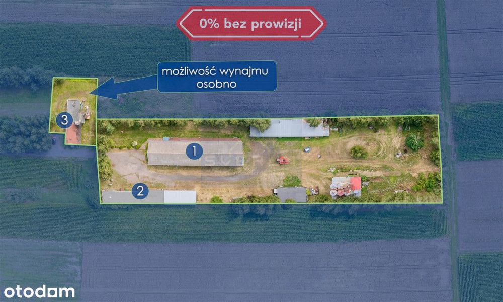 3 budynki produkcyjne na wynajem