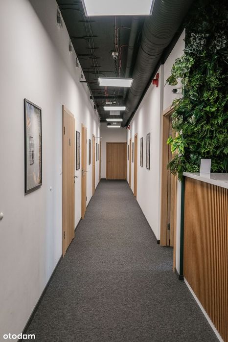 Biuro 245m2 w atrakcyjnej lokalizacji (dostępne również 500m2)