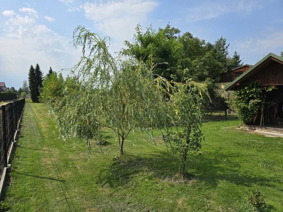 Dom piętrowy na działce 1560m2 w spokojnej okolicy