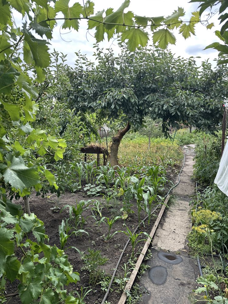 Продам дом на Долгинцево