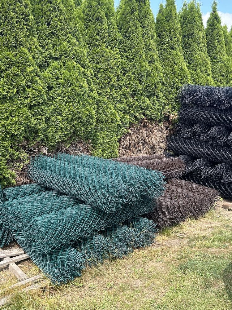 Siatka powlekana 125cm, 60x60, drut 2,5/3,6, antracyt, czarny, zielony