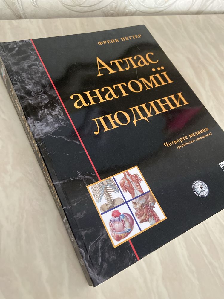 Атлас анатомія людини Френк Неттер 4 видання