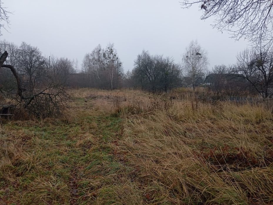 Земельна ділянка