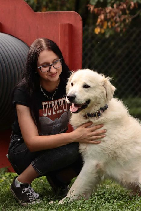 Lemon - piękny pies w typie owczarka podhalańskiego - szuka domu!