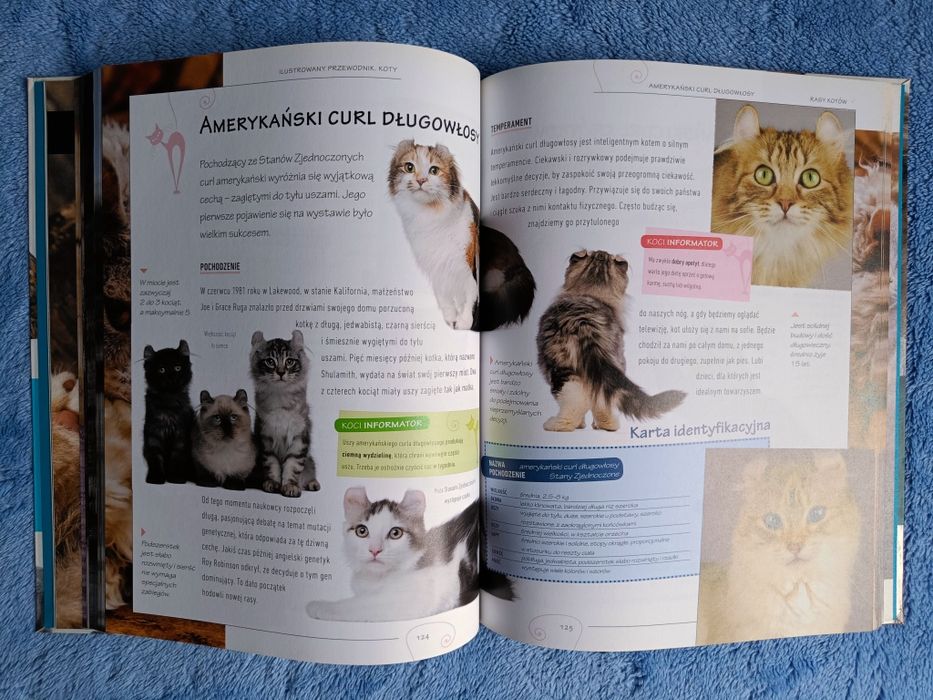 Nowy pięknie ilustrowany przewodnik Koty opieka, wybór, rasy
