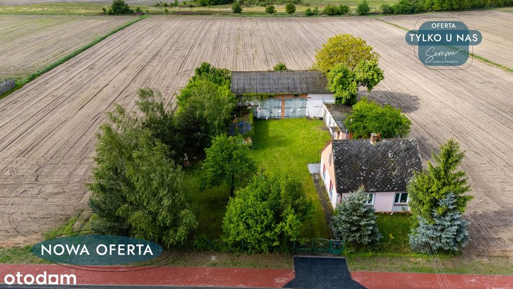 Dom wśród drzew i śpiewu ptaków