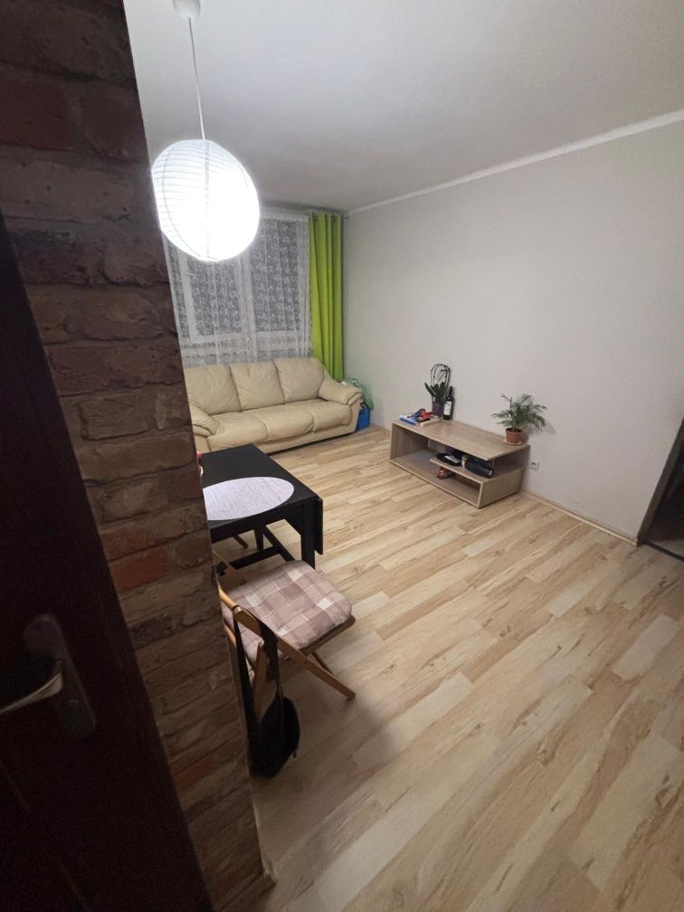 Mieszkanie do wynajęcia