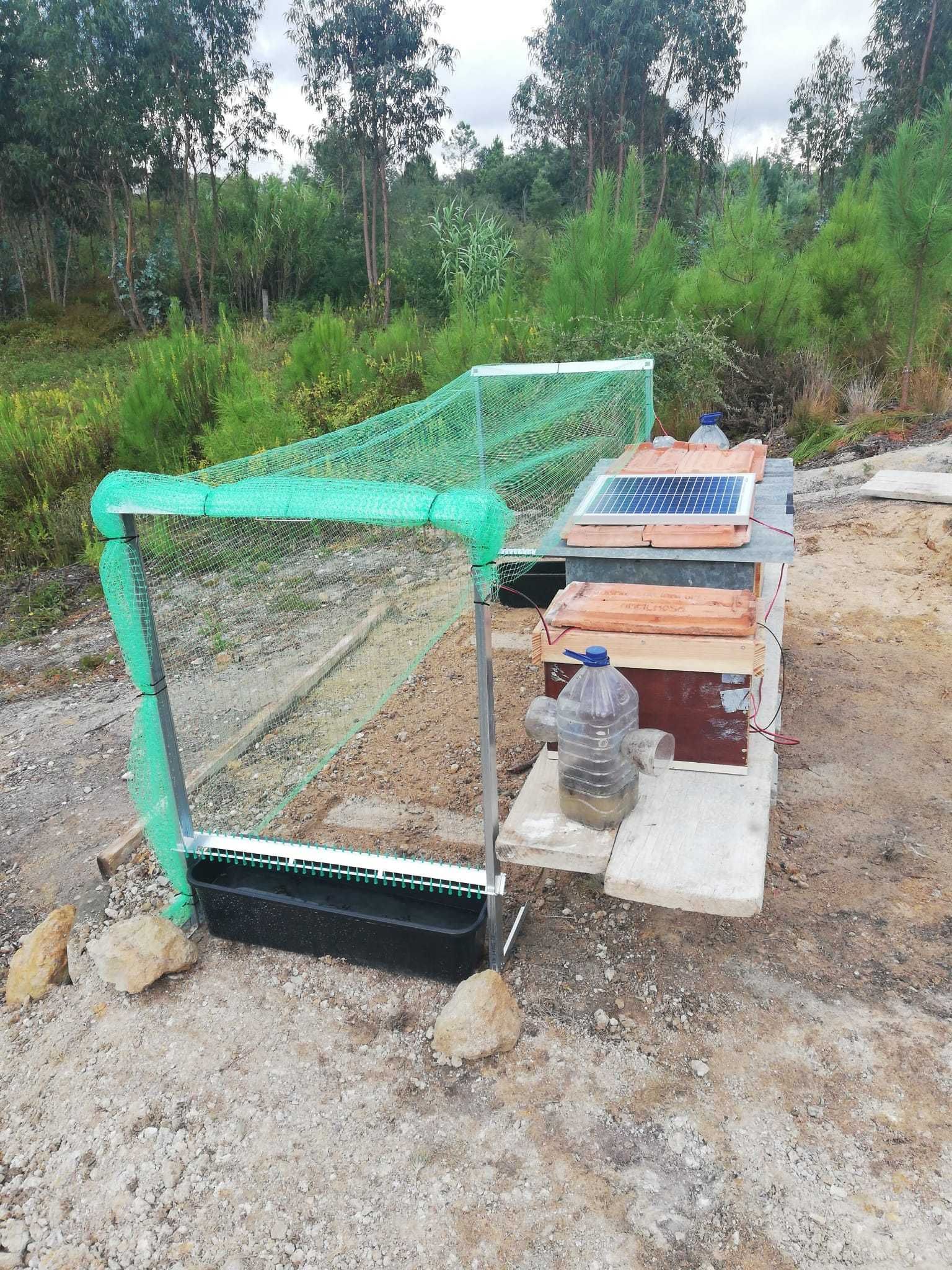 Harpa DUPLA grande e eletrónicas - arpa Anti vespa velutina asiática