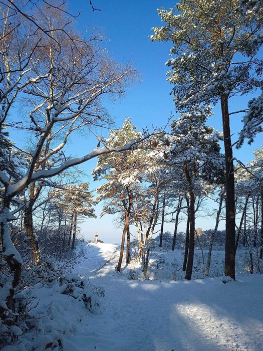 SYLWESTER nad morzem z psem • Domek • SAUNA • BALIA • Cisza spokój