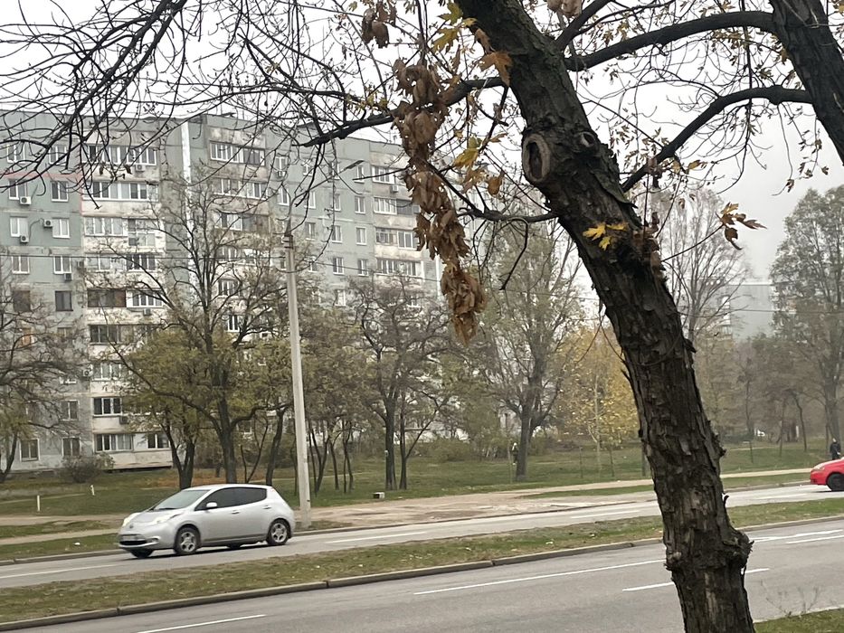 Здам в аренду гараж Запоріжжя Александрівський район