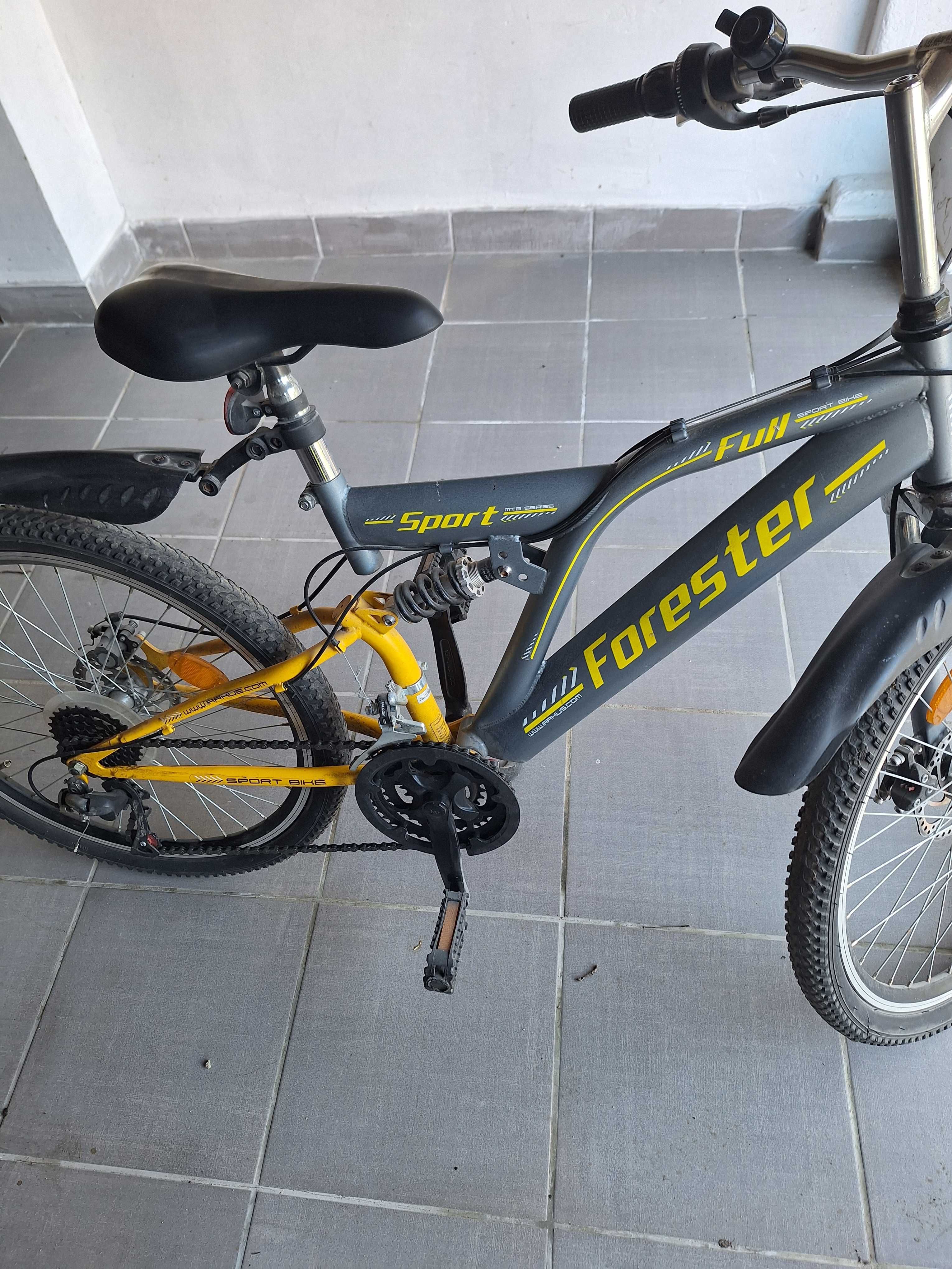 Rower Arkus Forester mtb sport 24