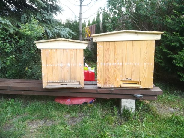 Ul "Wielkopolski" 14 ramek, ule drewniane dla pszczelarzy