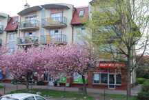 lokal Duńska Szczecin Warszewo