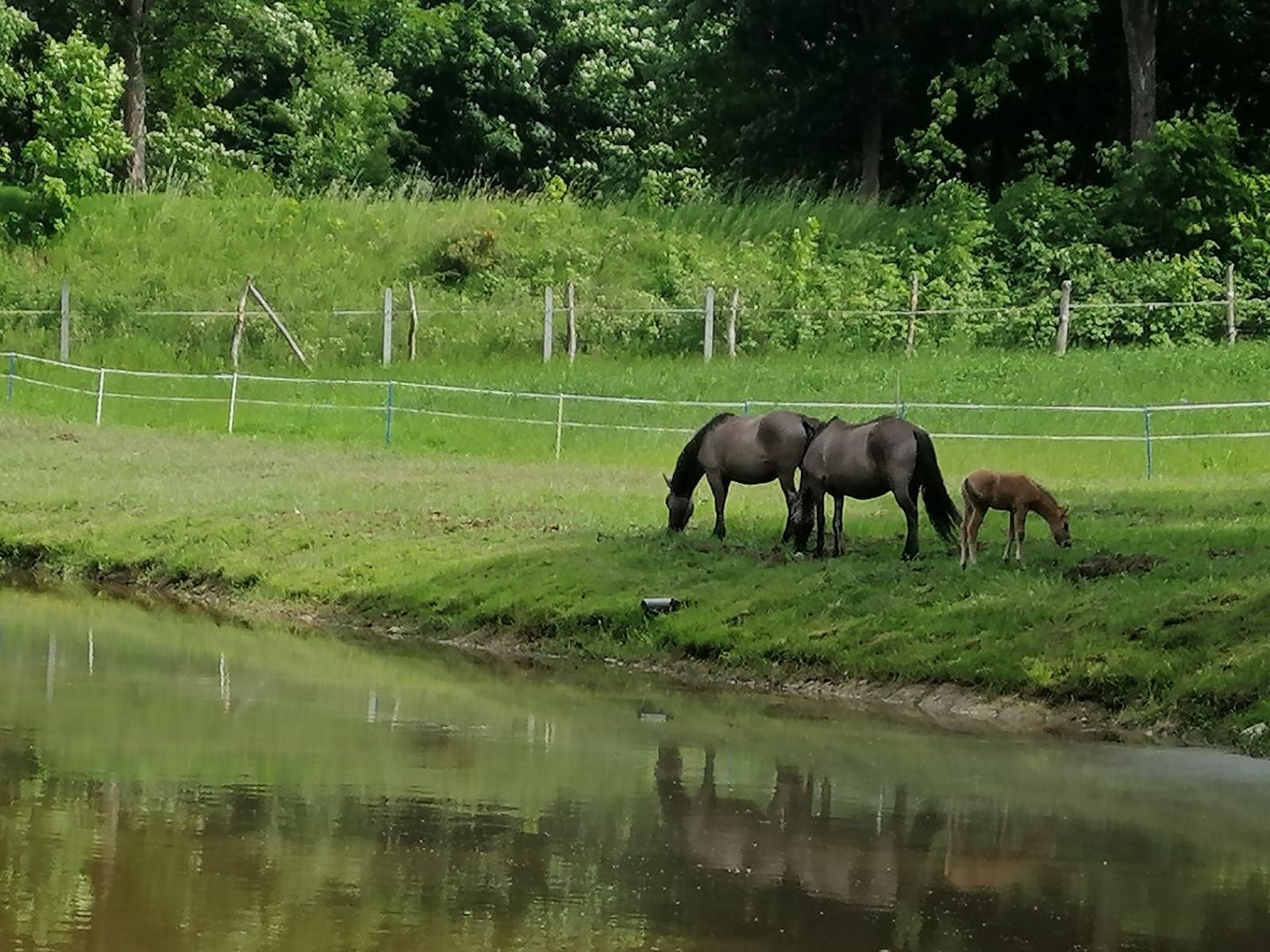 Wynajme domek na Kaszubach