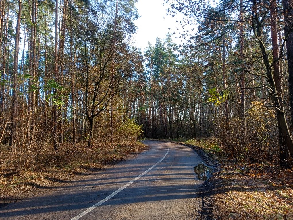 Земельна ділянка 12 соток з електрикою.  Супер місце.