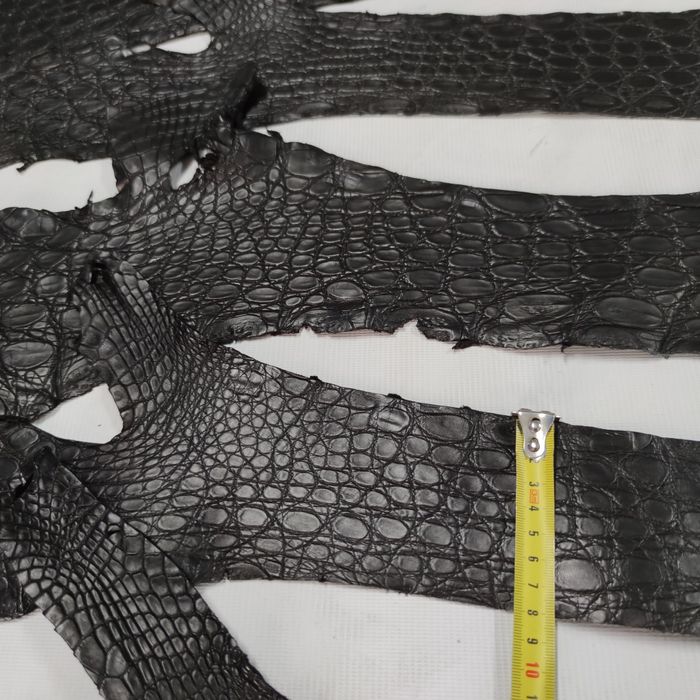 Шкіра Нильського крокодила Кожа натурального крокодила 600 грн