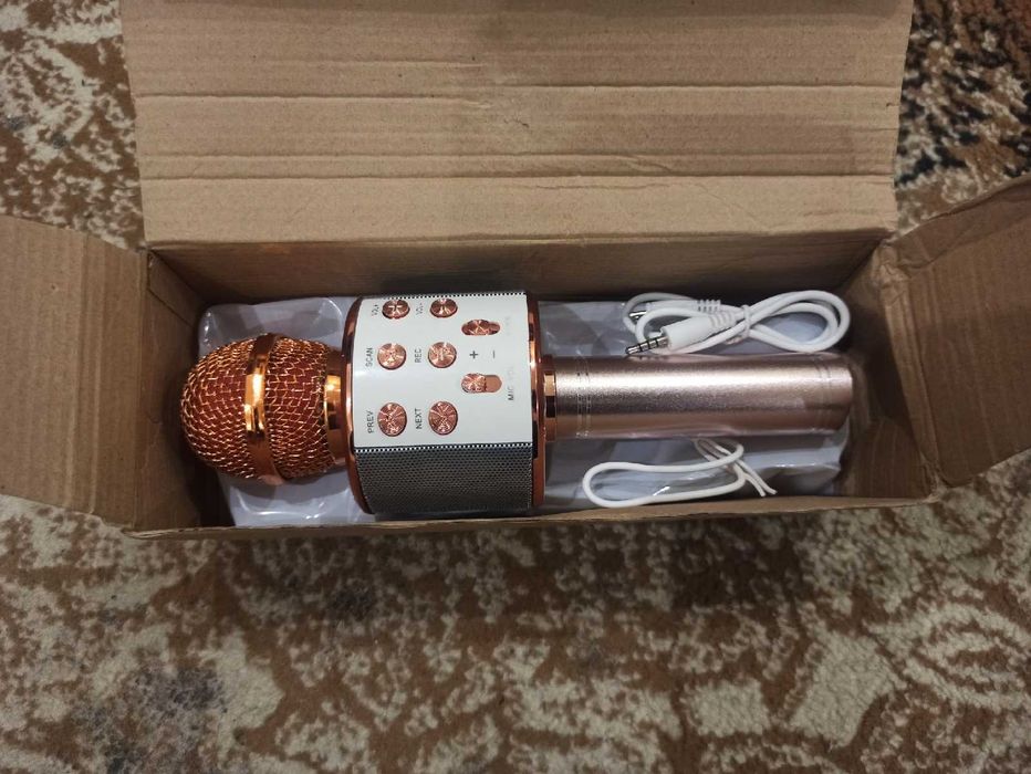 Профессиональный беспроводной Bluetooth-микрофон BUFLOIK