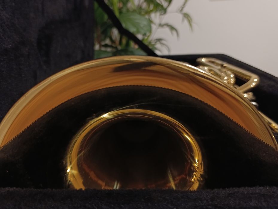 Bombardino/ Tuba