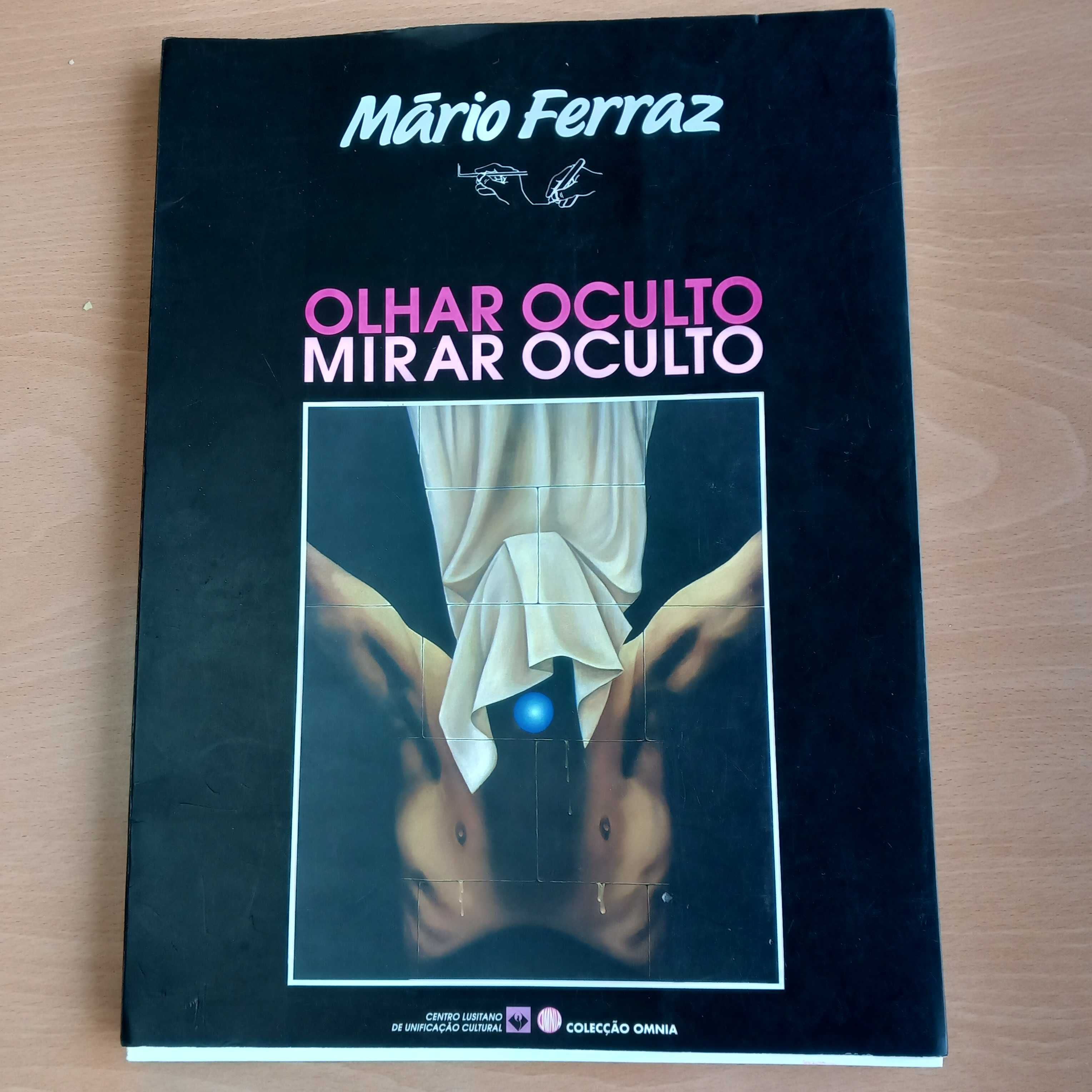 Quadro Pintor Mário Ferraz + Livro obra Olhar Oculto