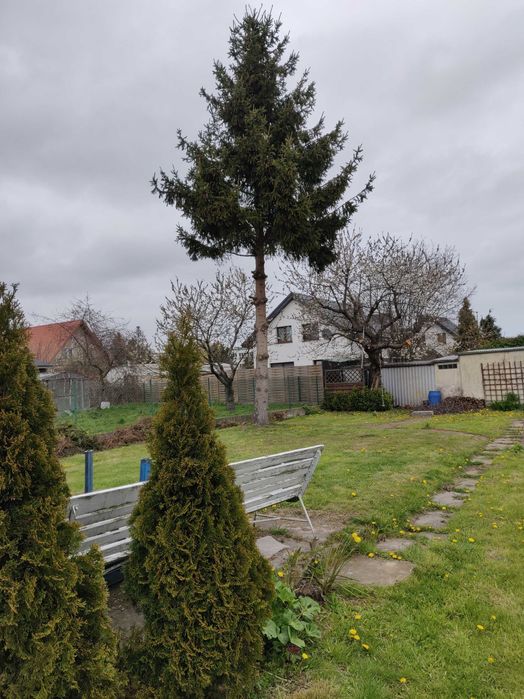Działka budowlana 481m2 w Pucku ul. Kwiatkowskiego