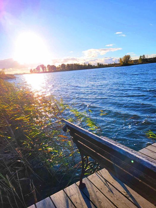 willa nad jeziorem własna linia brzegowa pomost łódka sauna wędkowanie