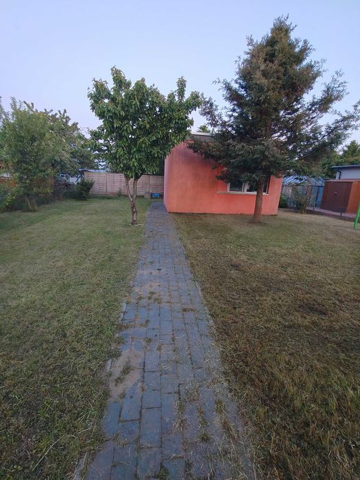 Działka ROD im. Mikołaja Reja Gdynia 300 m2