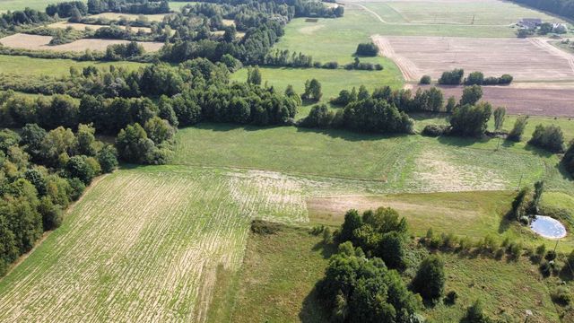 Działka 3000m2 Huta, Rogowo, Rypin