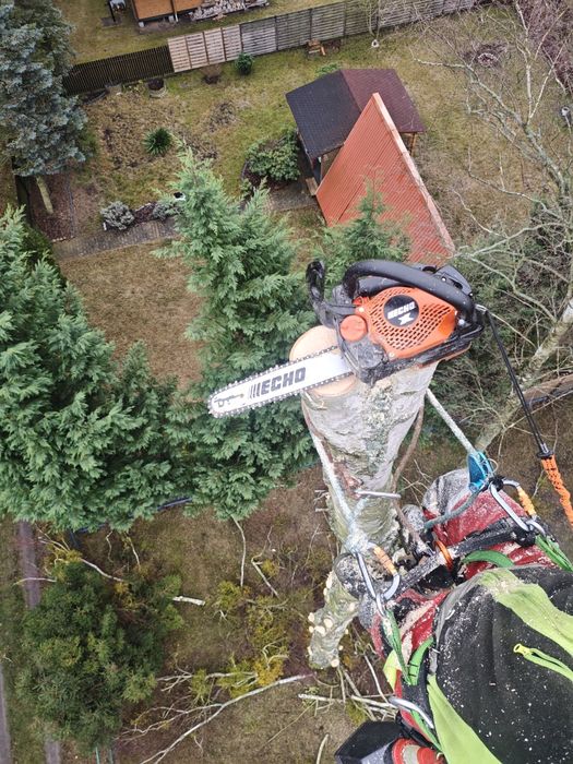 Wycinka drzew arborysta przycinka prace wysokościowe odśnieżanie