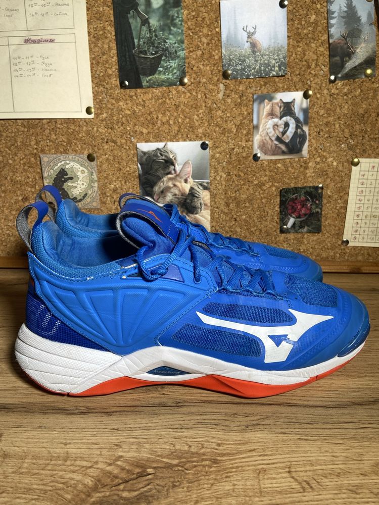 Чоловічі кросівки для волейболу Mizuno WAVE MOMENTUM 2